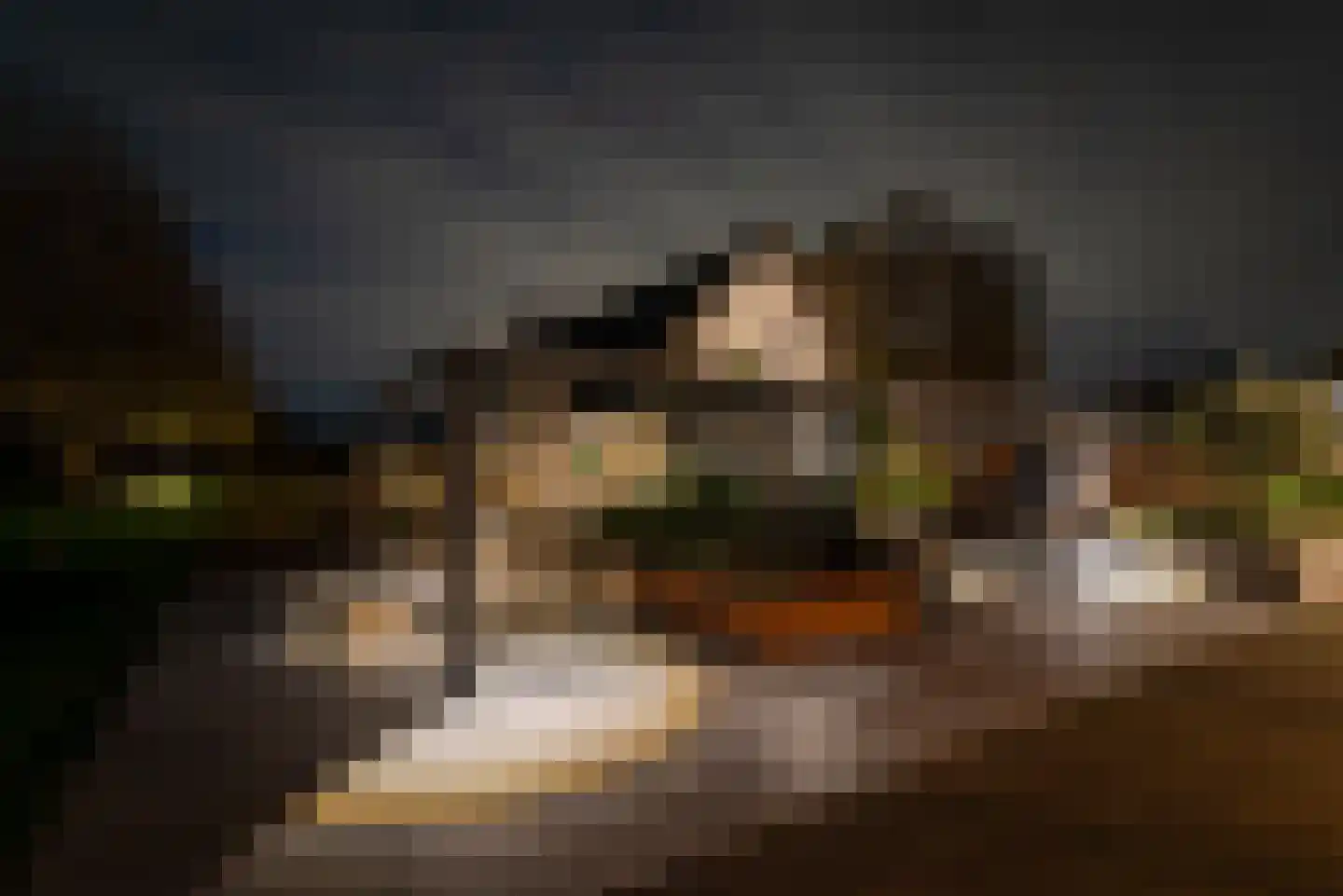 Noordstukkendrift 2 Bunne thumbnail 104