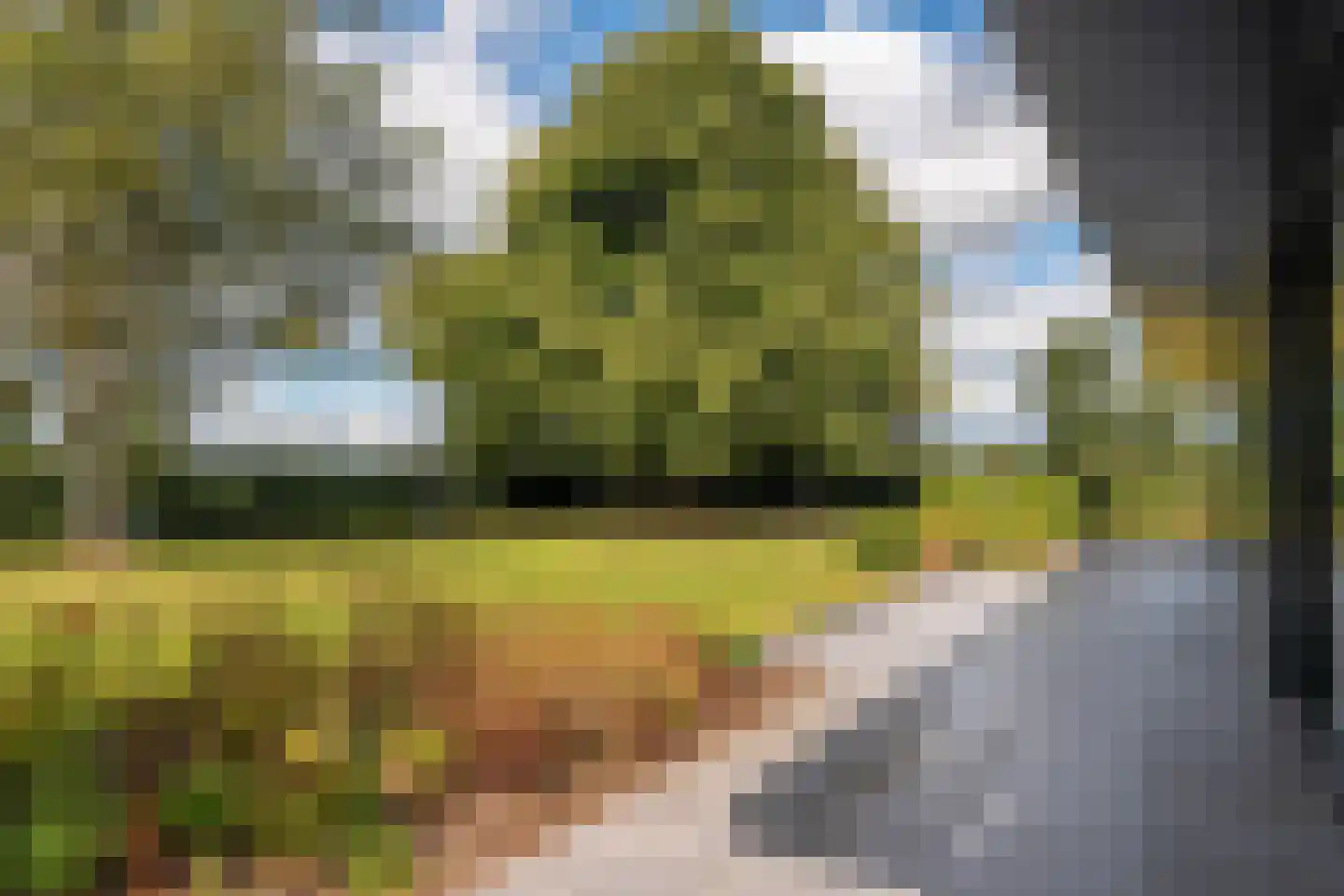 Noordstukkendrift 2 Bunne thumbnail 106