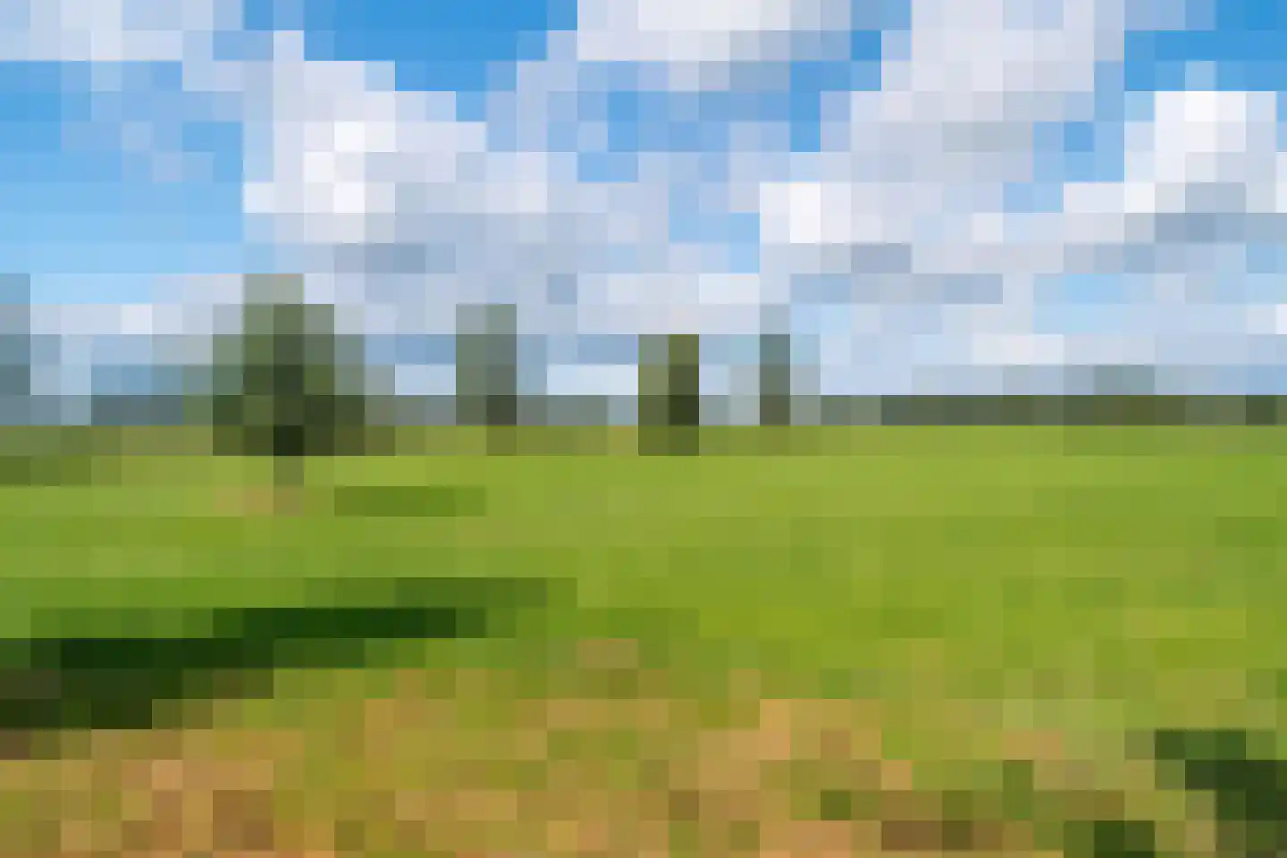 Noordstukkendrift 2 Bunne thumbnail 107