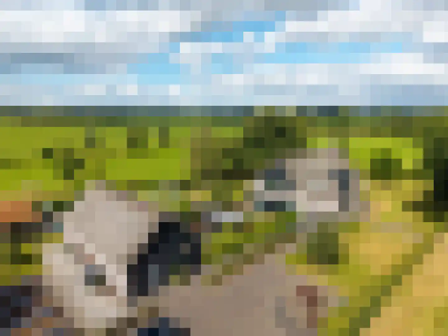 Noordstukkendrift 2 Bunne thumbnail 108
