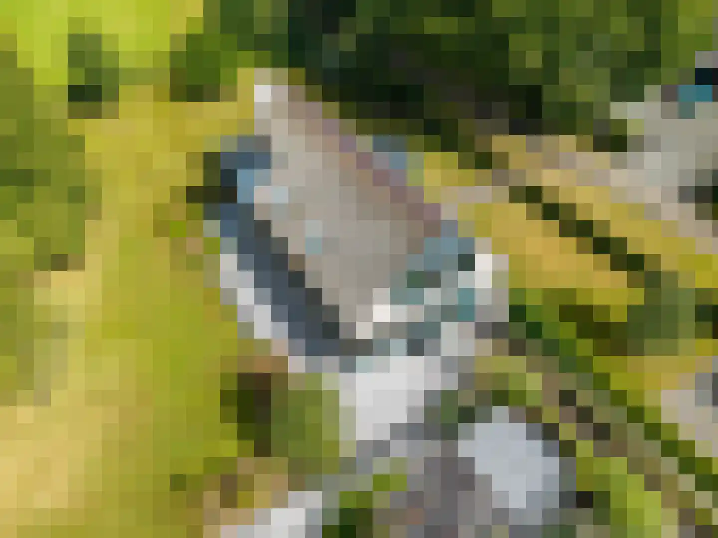 Noordstukkendrift 2 Bunne thumbnail 110