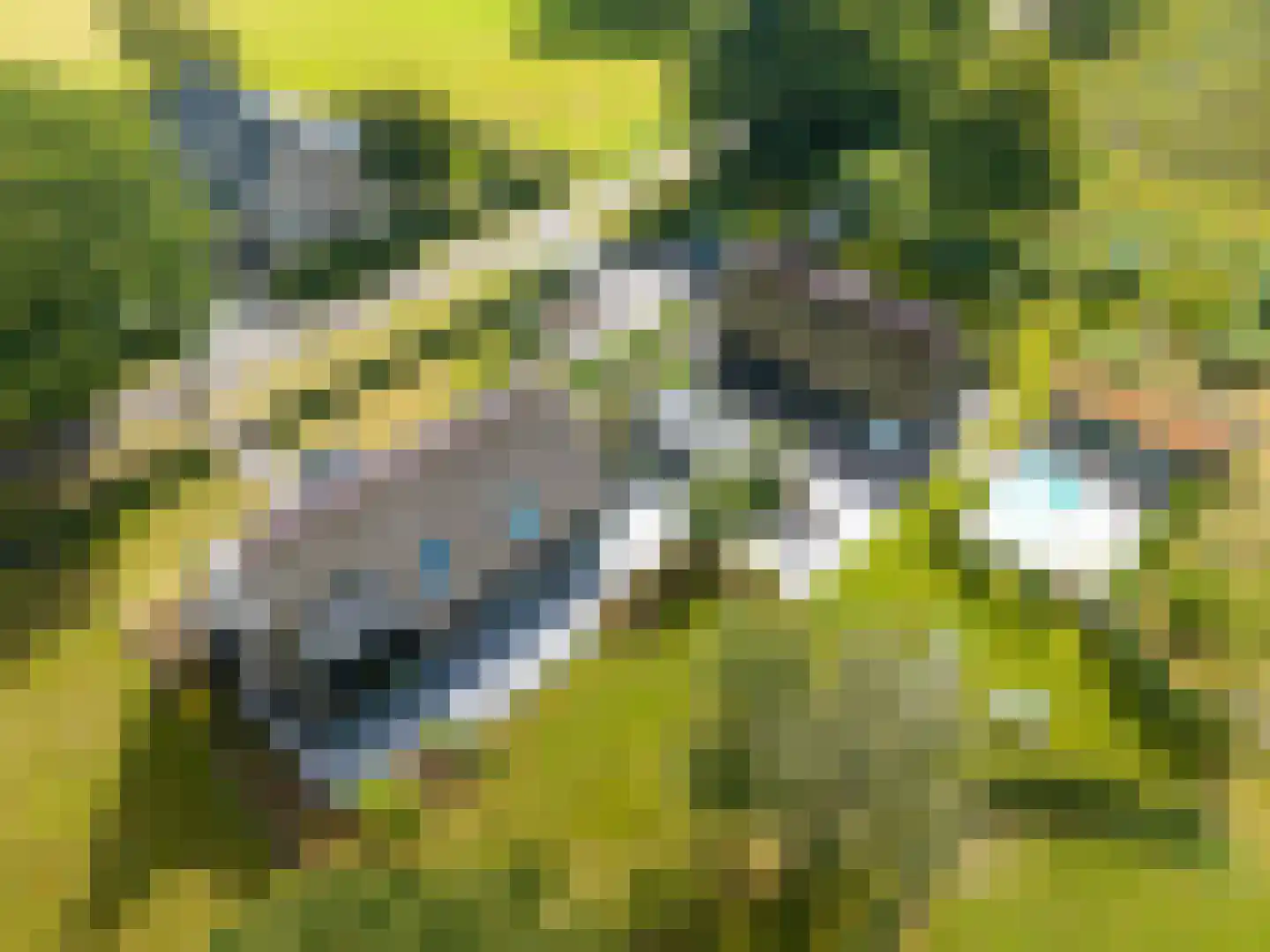 Noordstukkendrift 2 Bunne thumbnail 113