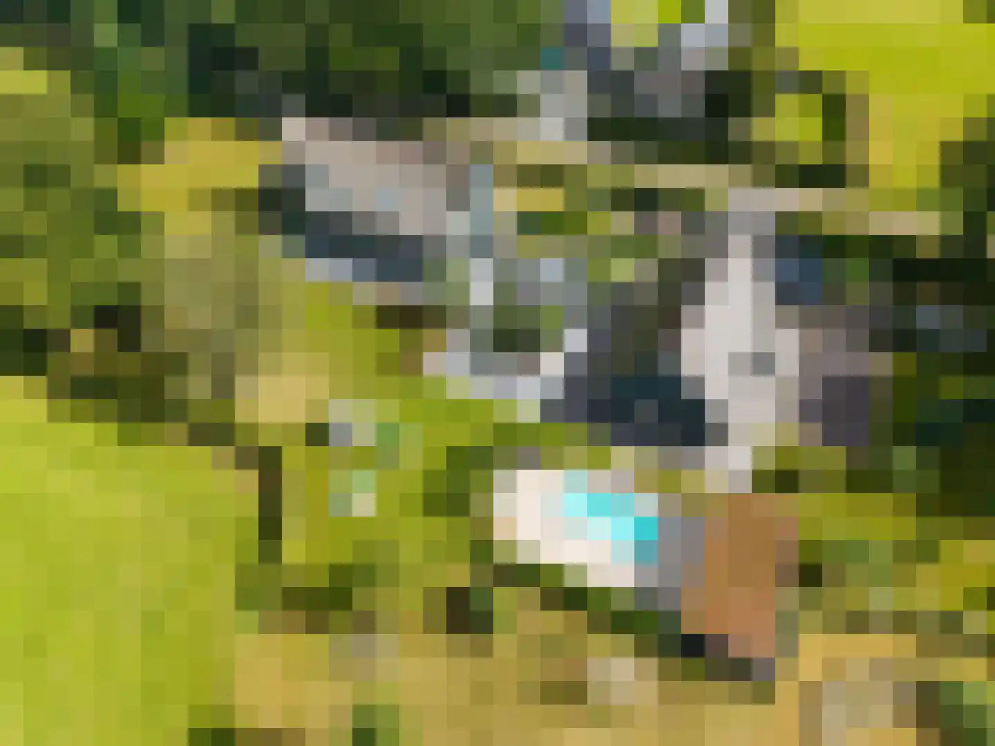 Noordstukkendrift 2 Bunne thumbnail 114