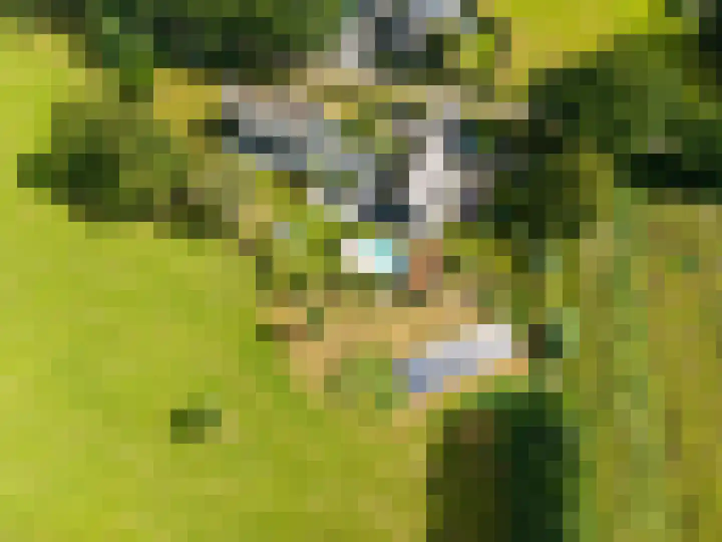 Noordstukkendrift 2 Bunne thumbnail 115