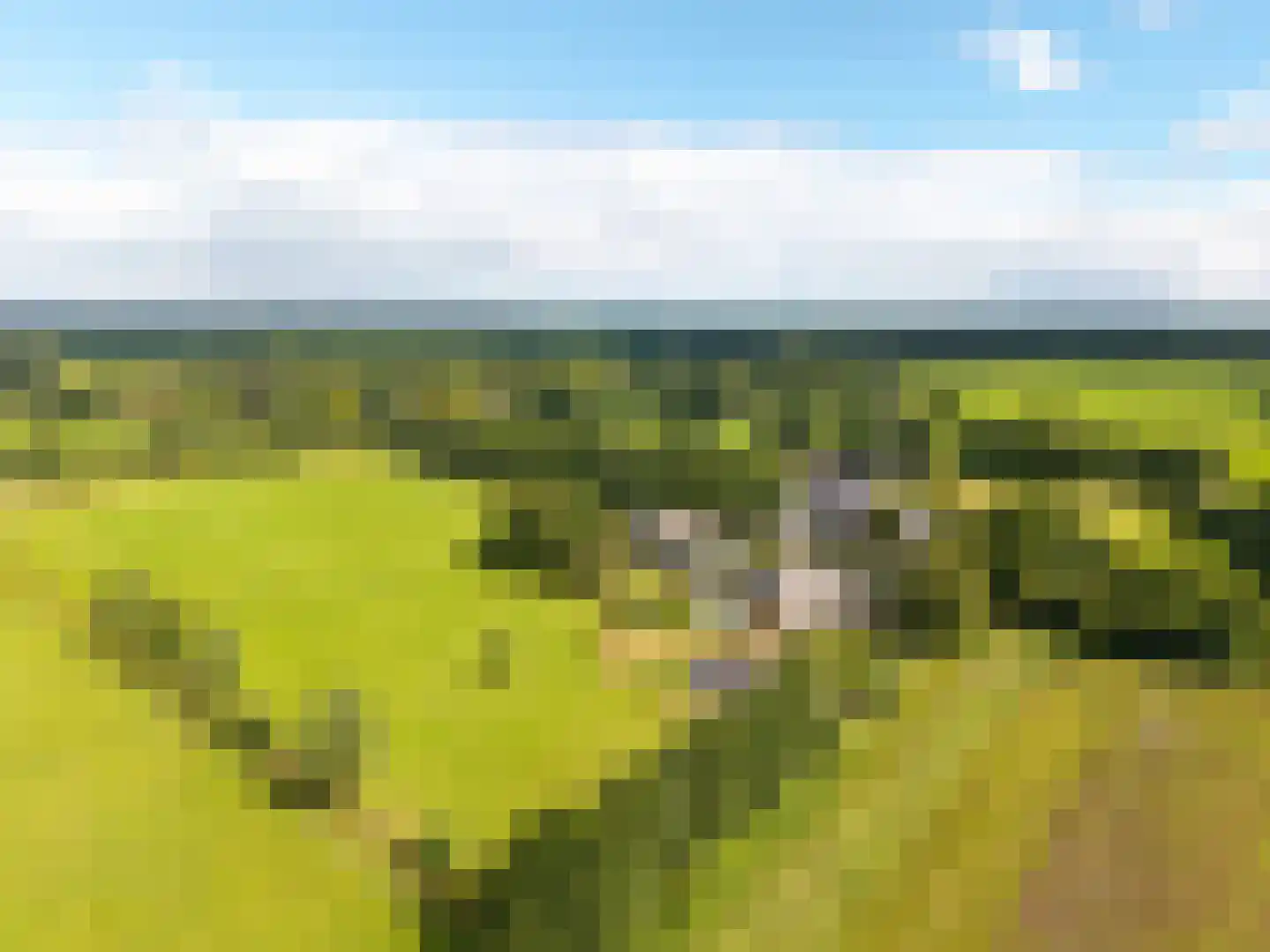 Noordstukkendrift 2 Bunne thumbnail 119