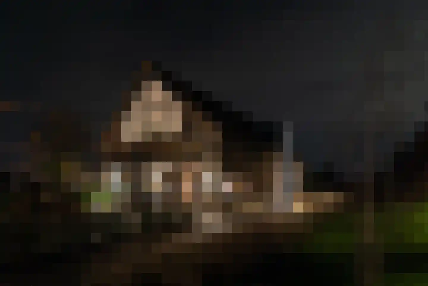 Noordstukkendrift 2 Bunne thumbnail 15