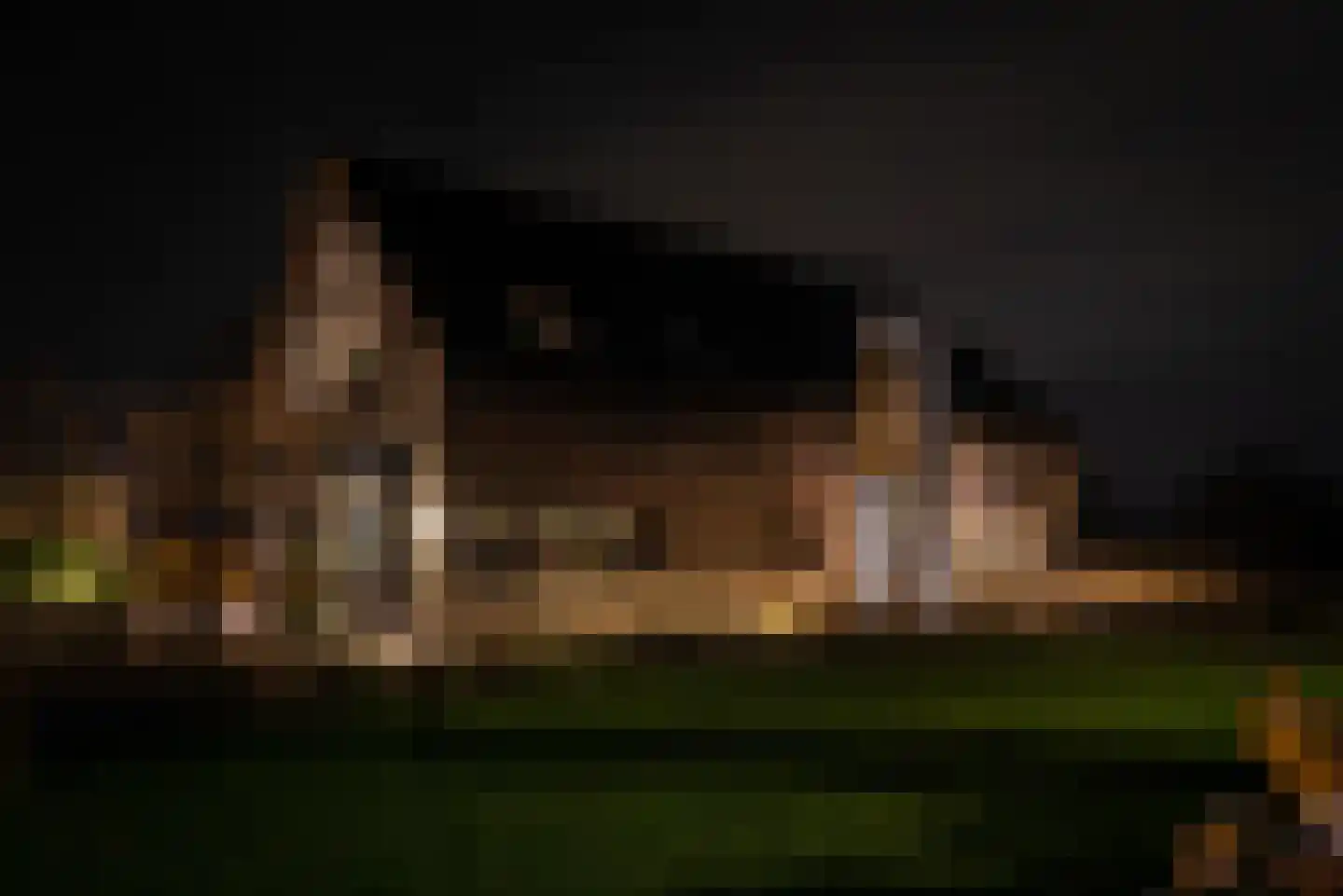 Noordstukkendrift 2 Bunne thumbnail 17