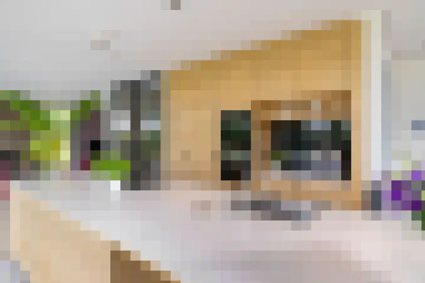 Noordstukkendrift 2 Bunne thumbnail 20
