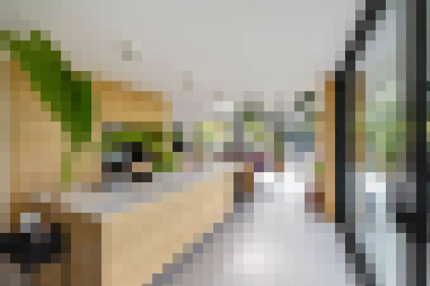 Noordstukkendrift 2 Bunne thumbnail 21
