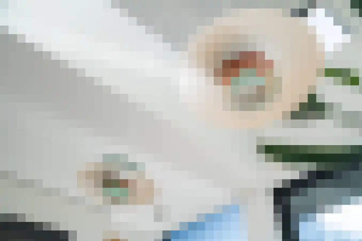 Noordstukkendrift 2 Bunne thumbnail 23