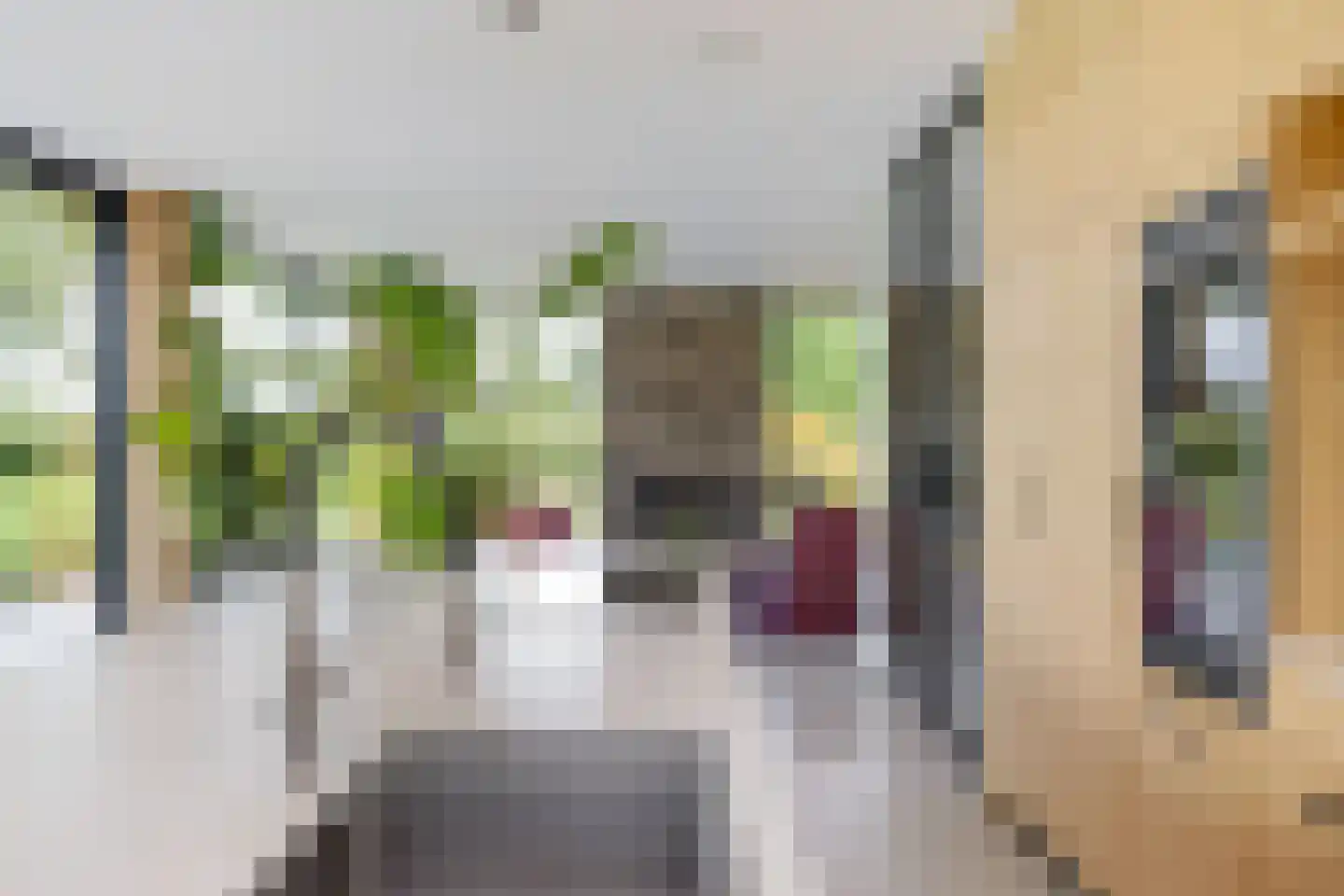 Noordstukkendrift 2 Bunne thumbnail 23