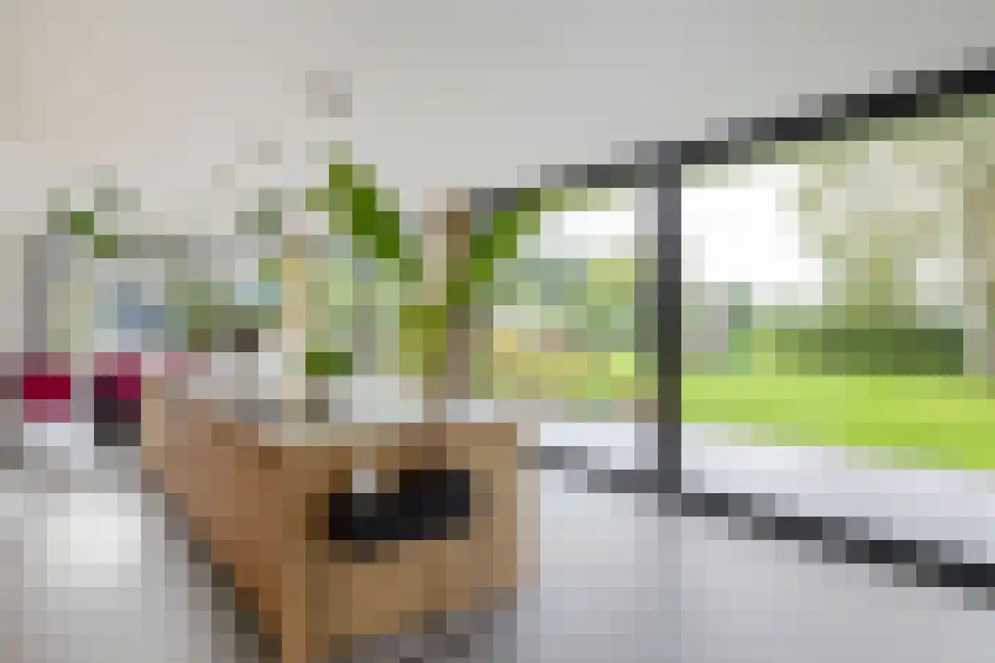 Noordstukkendrift 2 Bunne thumbnail 25
