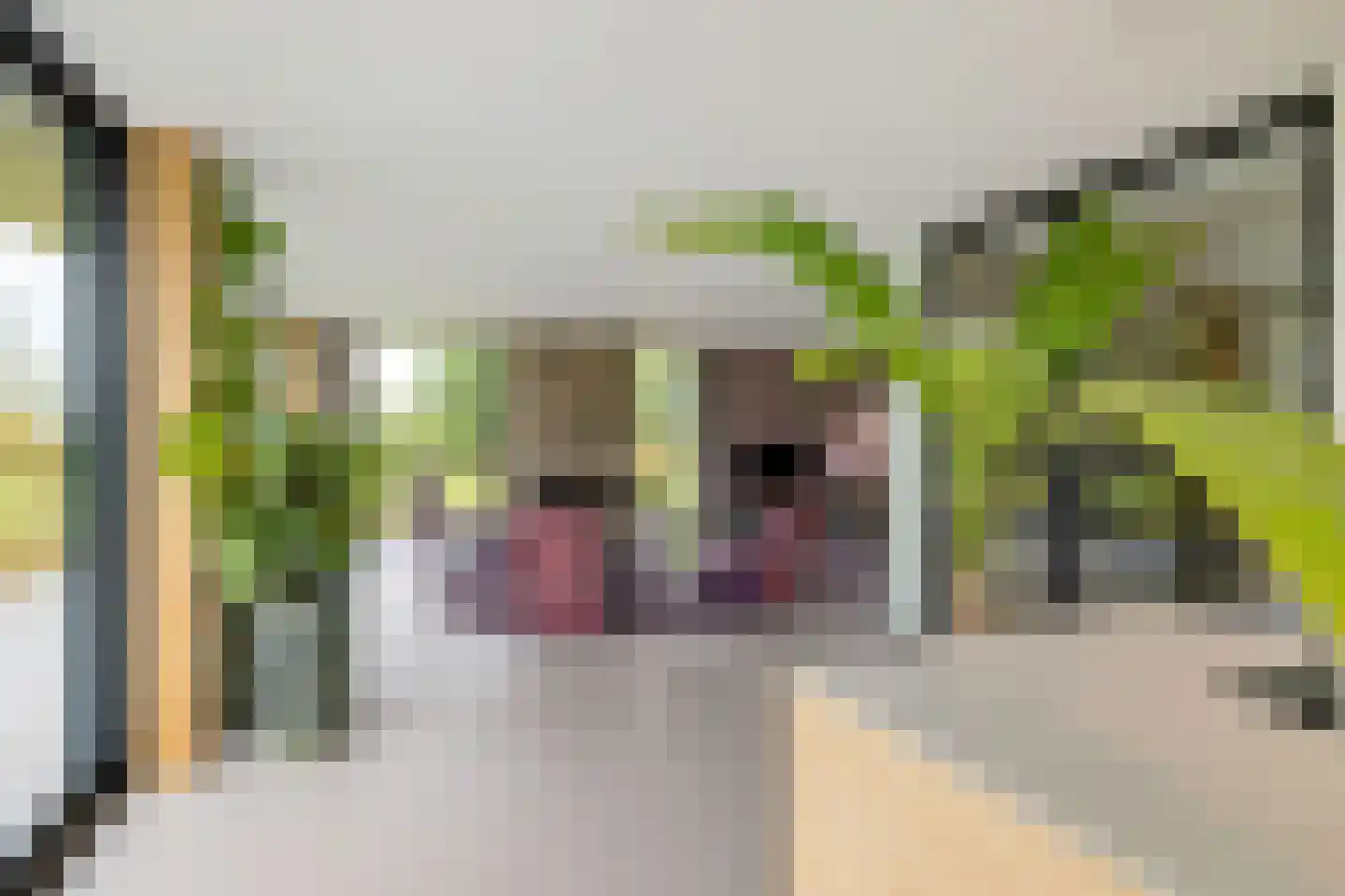 Noordstukkendrift 2 Bunne thumbnail 27