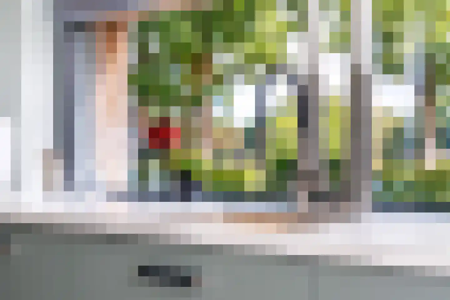 Noordstukkendrift 2 Bunne thumbnail 37