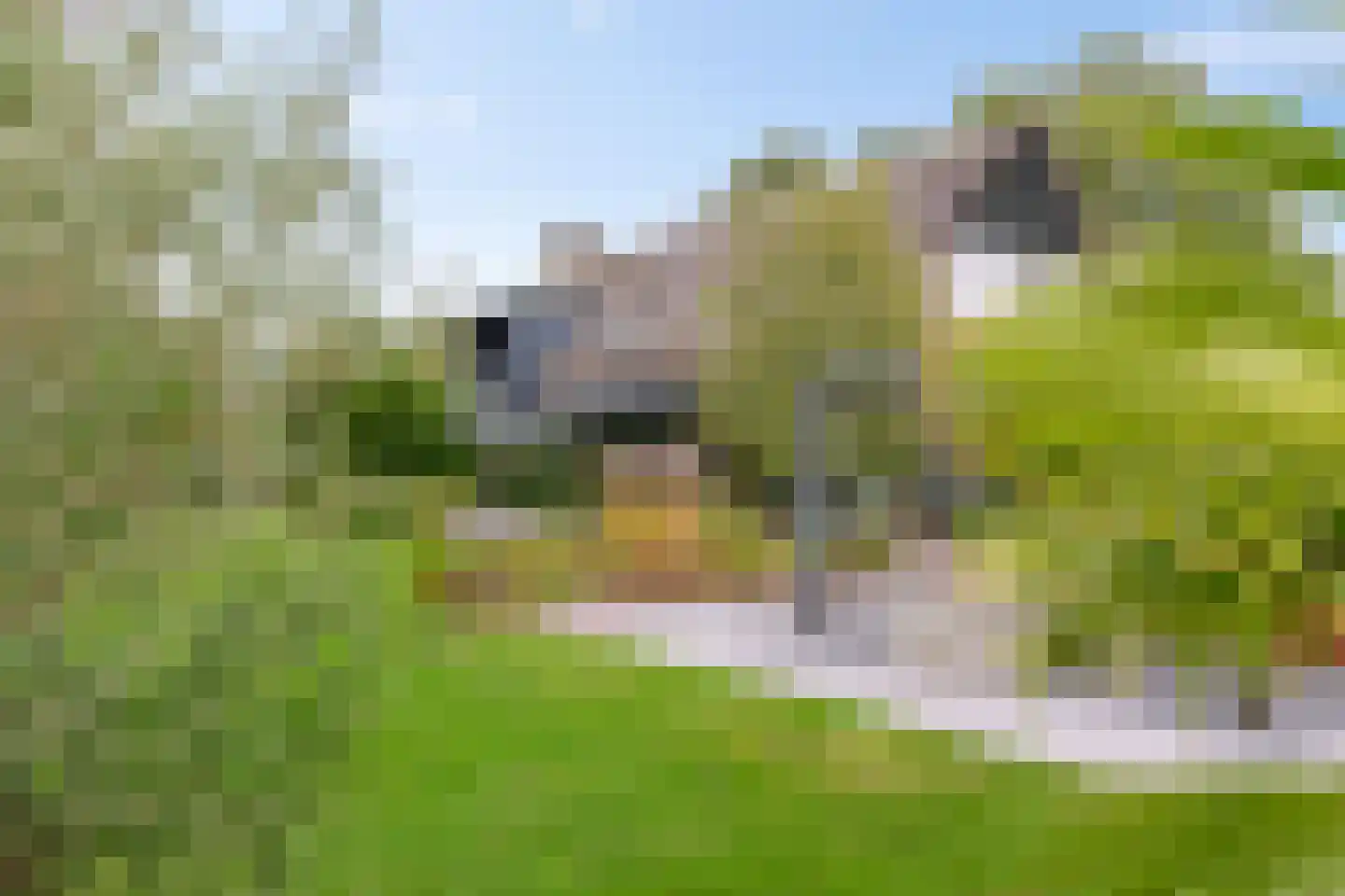 Noordstukkendrift 2 Bunne thumbnail 4