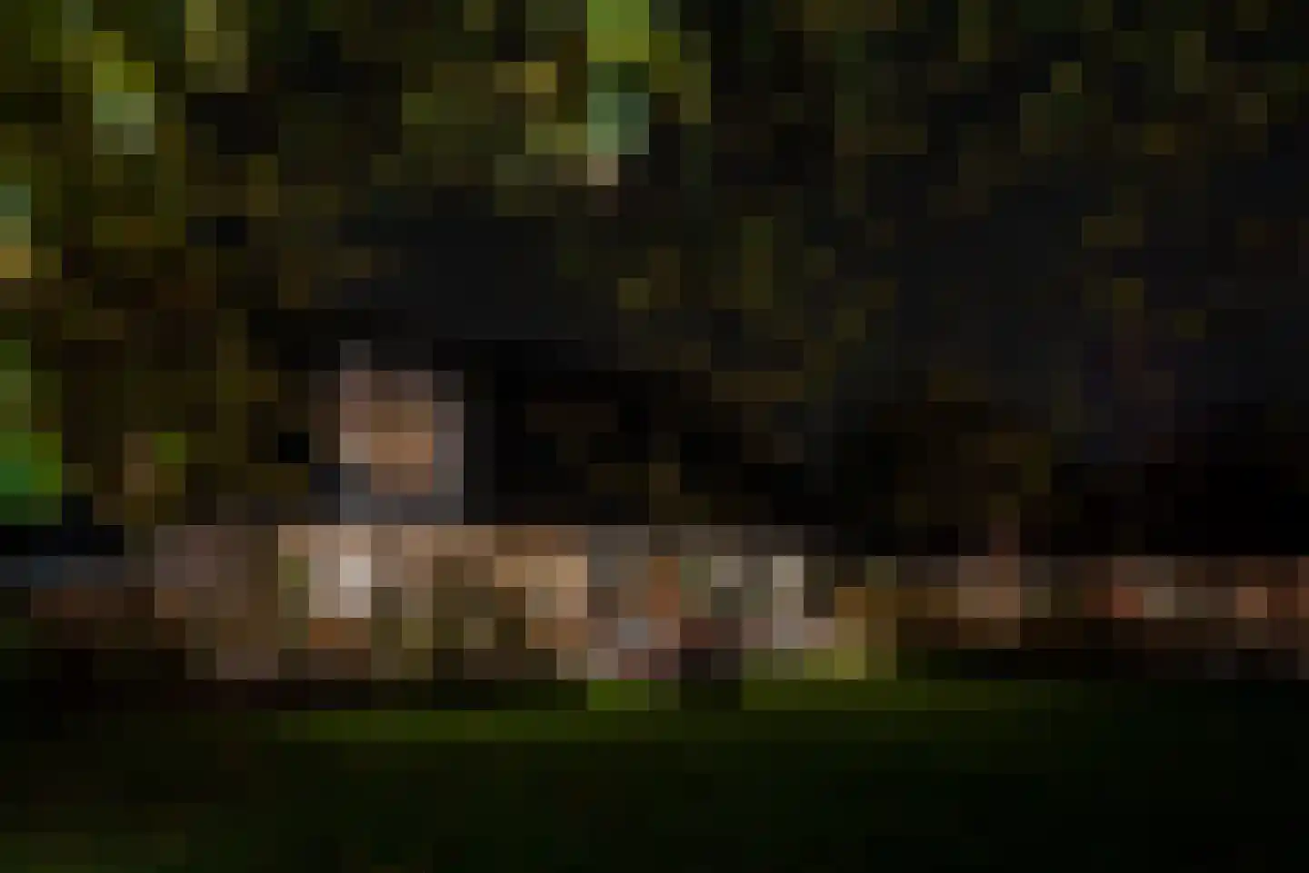 Noordstukkendrift 2 Bunne thumbnail 4