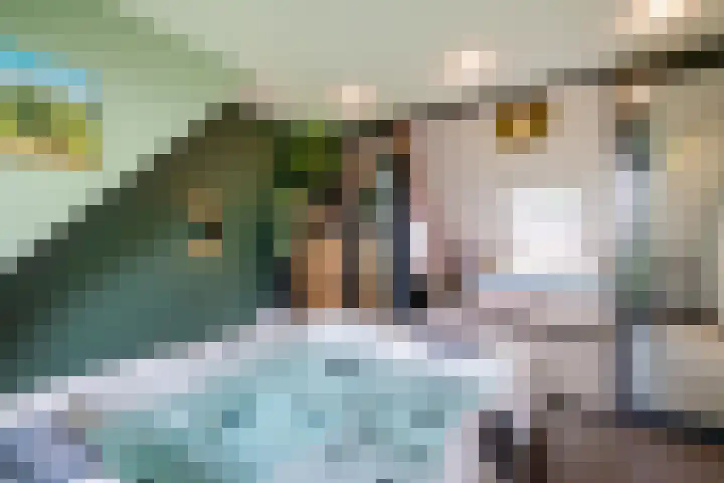 Noordstukkendrift 2 Bunne thumbnail 43