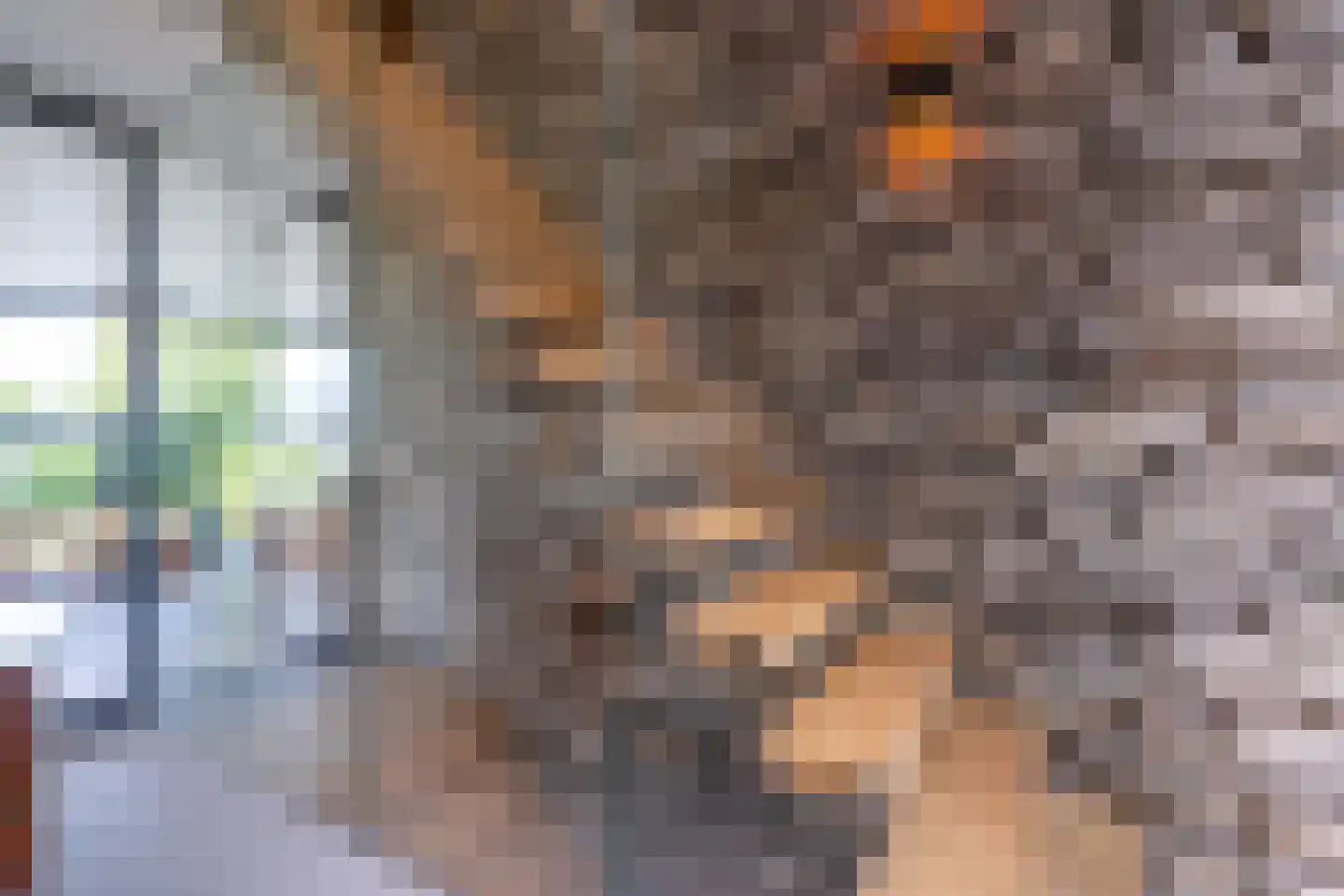 Noordstukkendrift 2 Bunne thumbnail 48