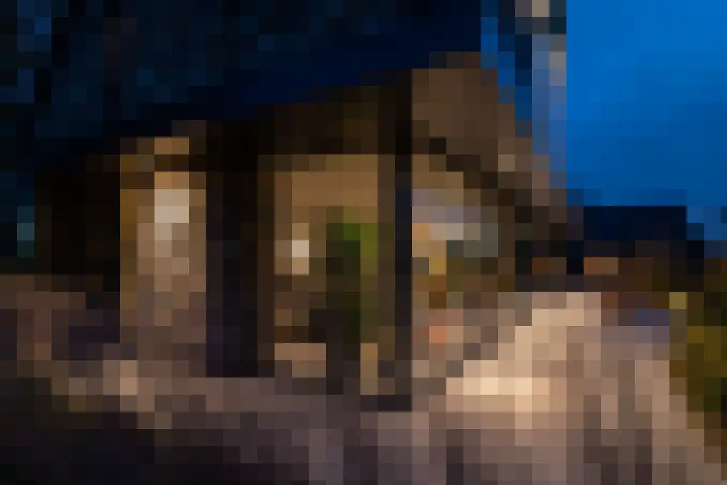 Noordstukkendrift 2 Bunne thumbnail 5