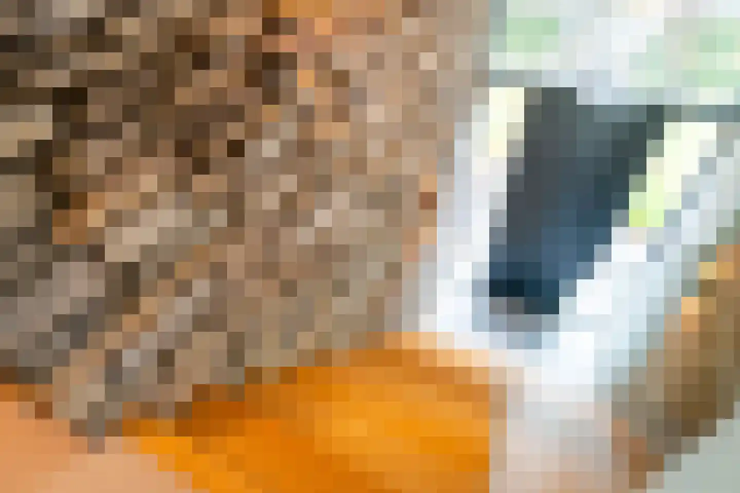 Noordstukkendrift 2 Bunne thumbnail 50