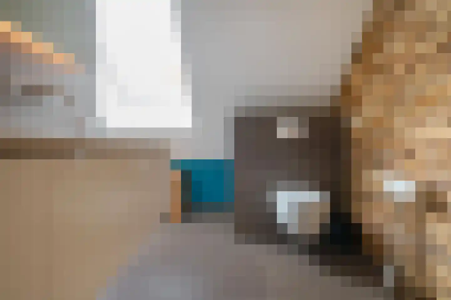 Noordstukkendrift 2 Bunne thumbnail 50