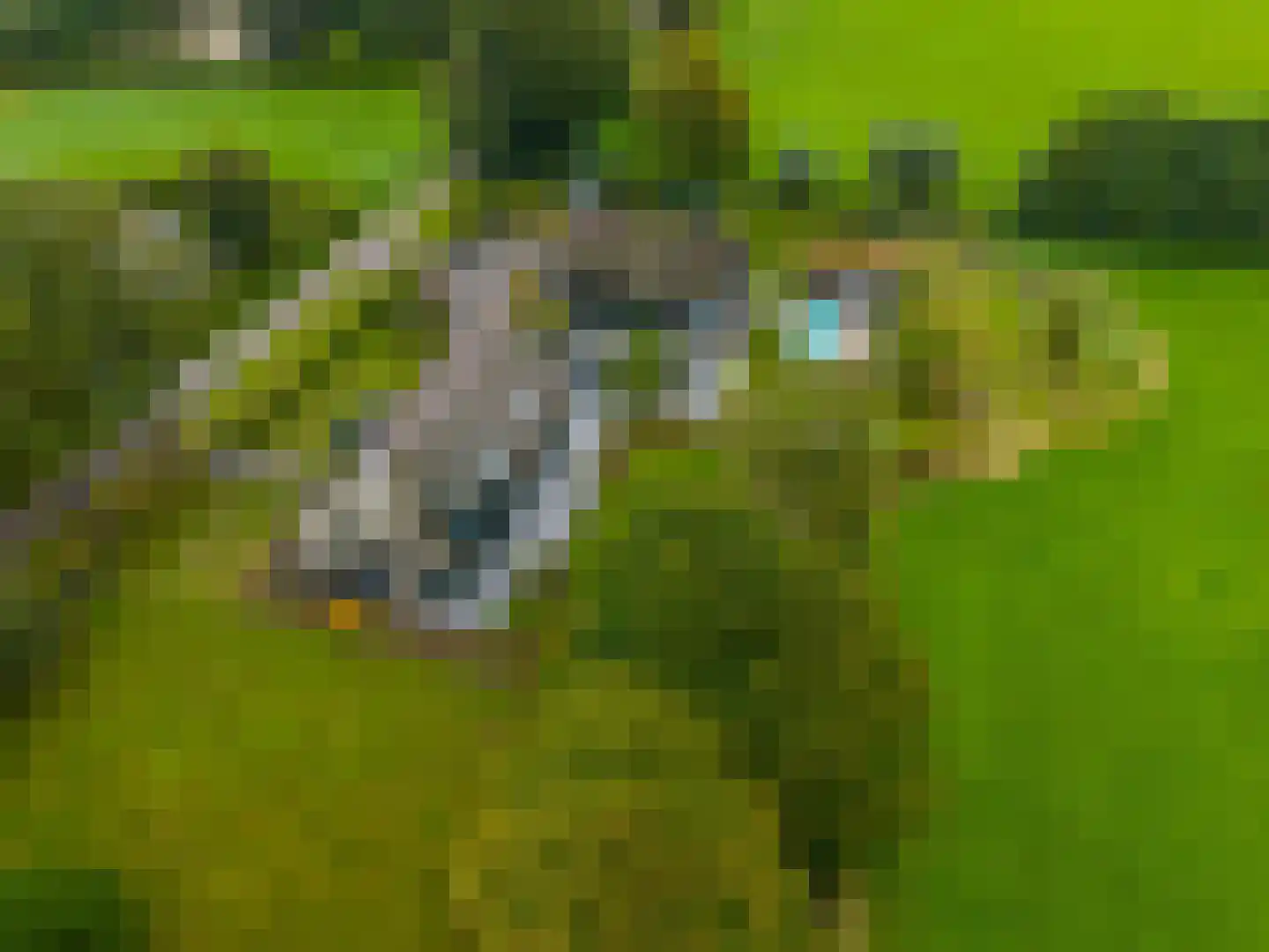 Noordstukkendrift 2 Bunne thumbnail 7