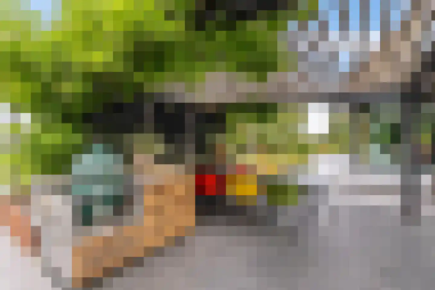 Noordstukkendrift 2 Bunne thumbnail 74