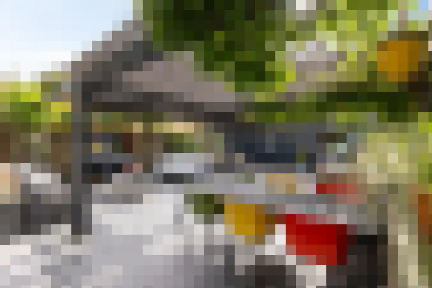 Noordstukkendrift 2 Bunne thumbnail 75