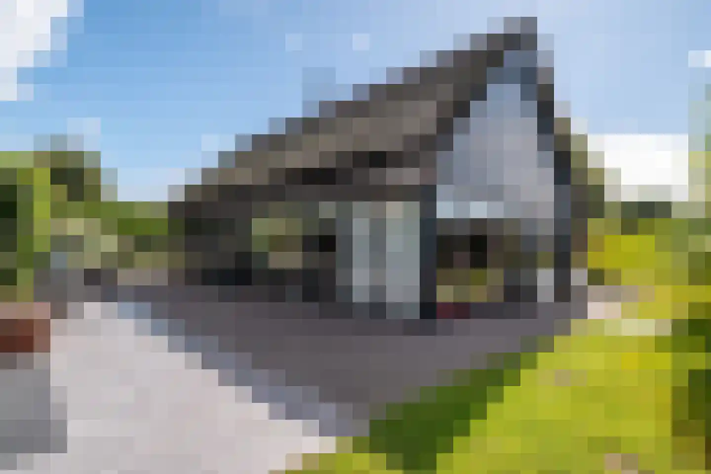 Noordstukkendrift 2 Bunne thumbnail 76
