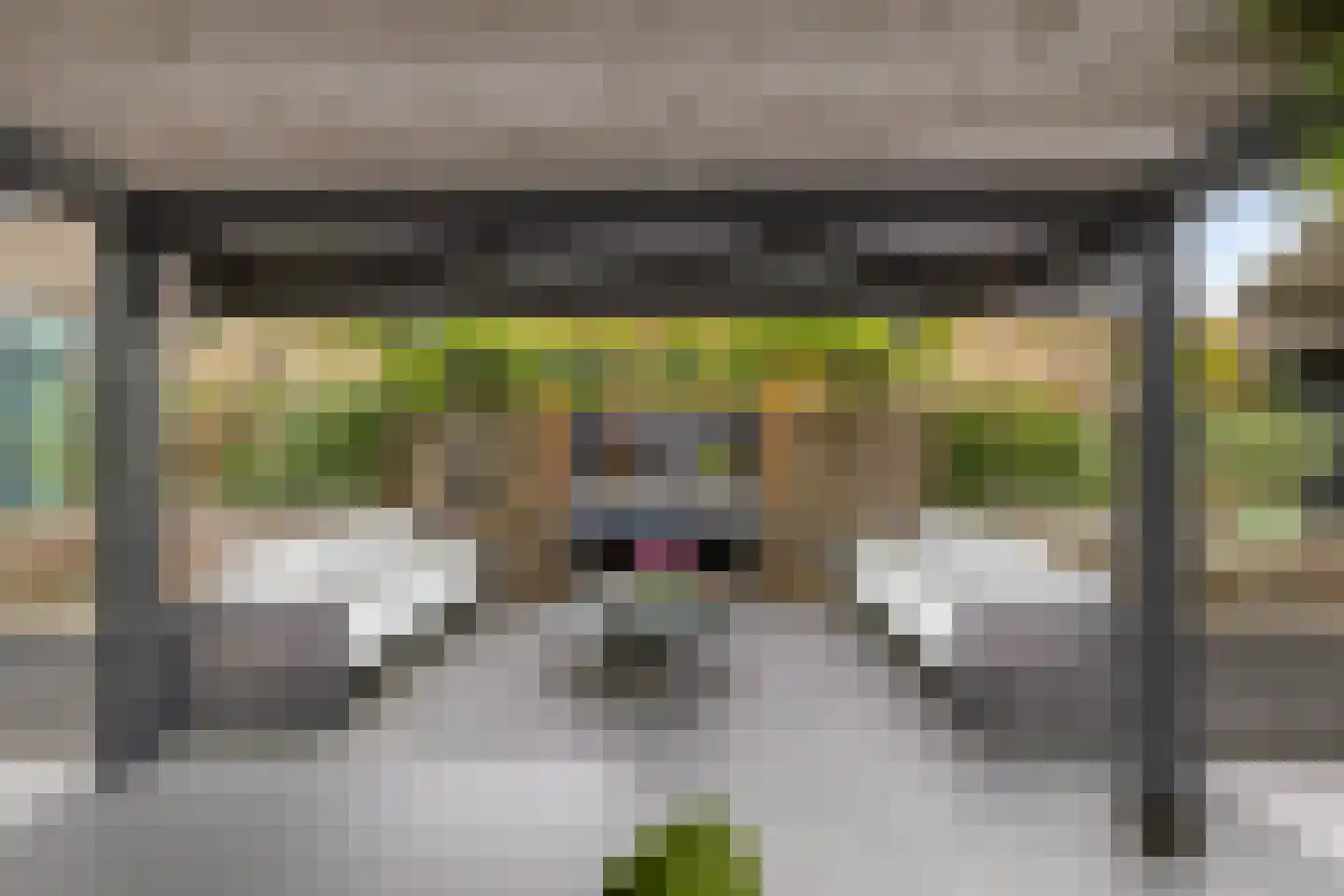 Noordstukkendrift 2 Bunne thumbnail 76