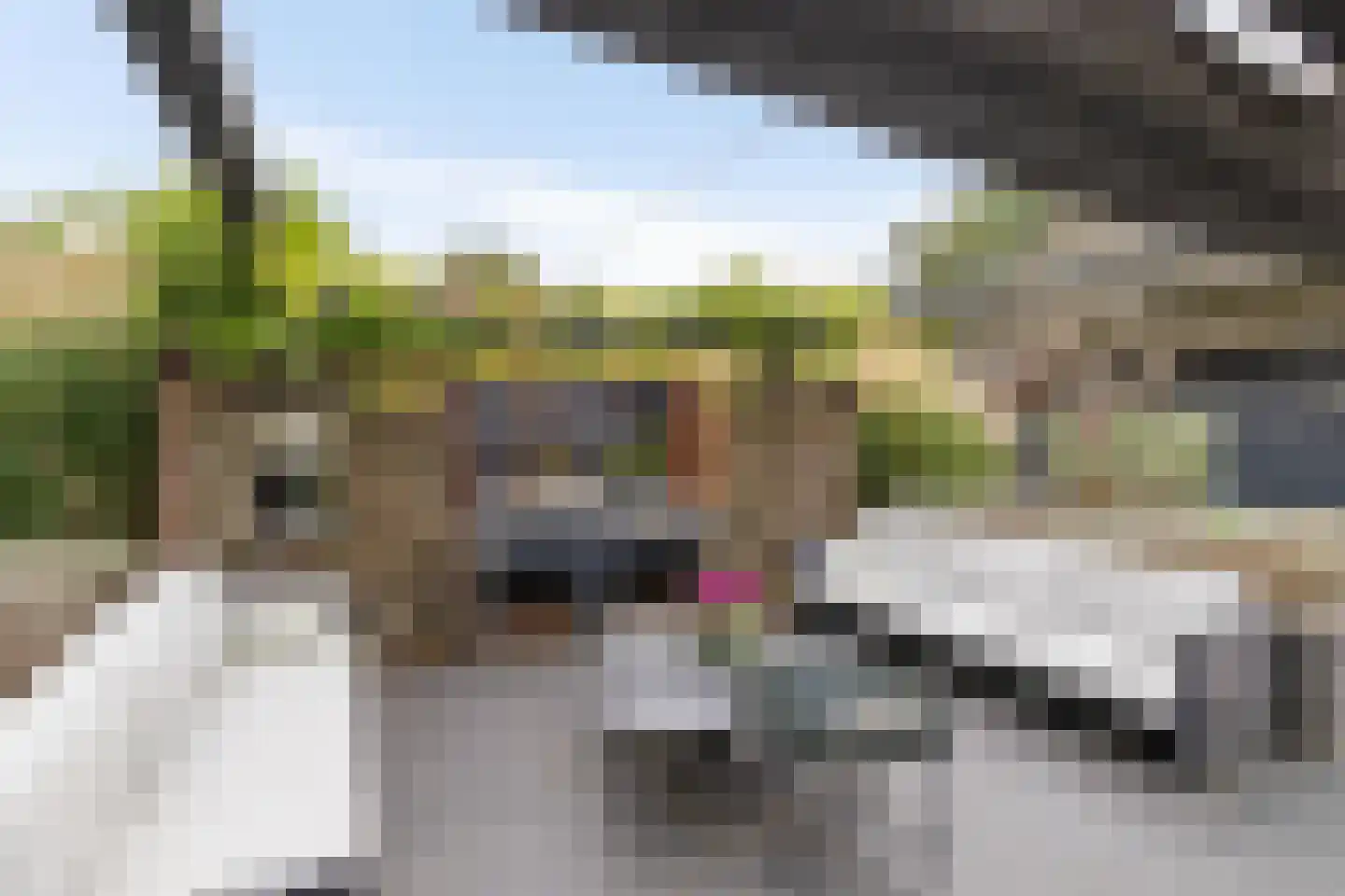 Noordstukkendrift 2 Bunne thumbnail 77