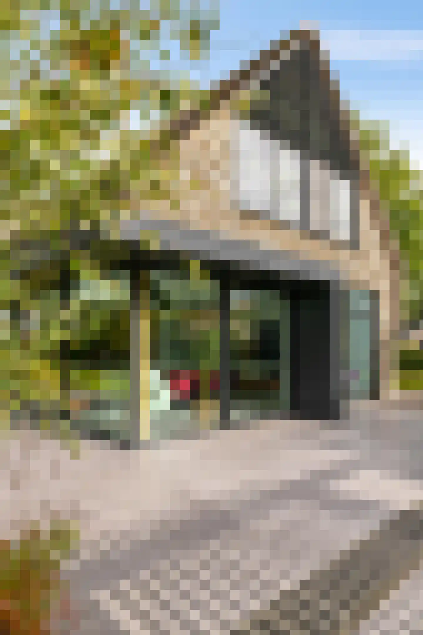 Noordstukkendrift 2 Bunne thumbnail 78