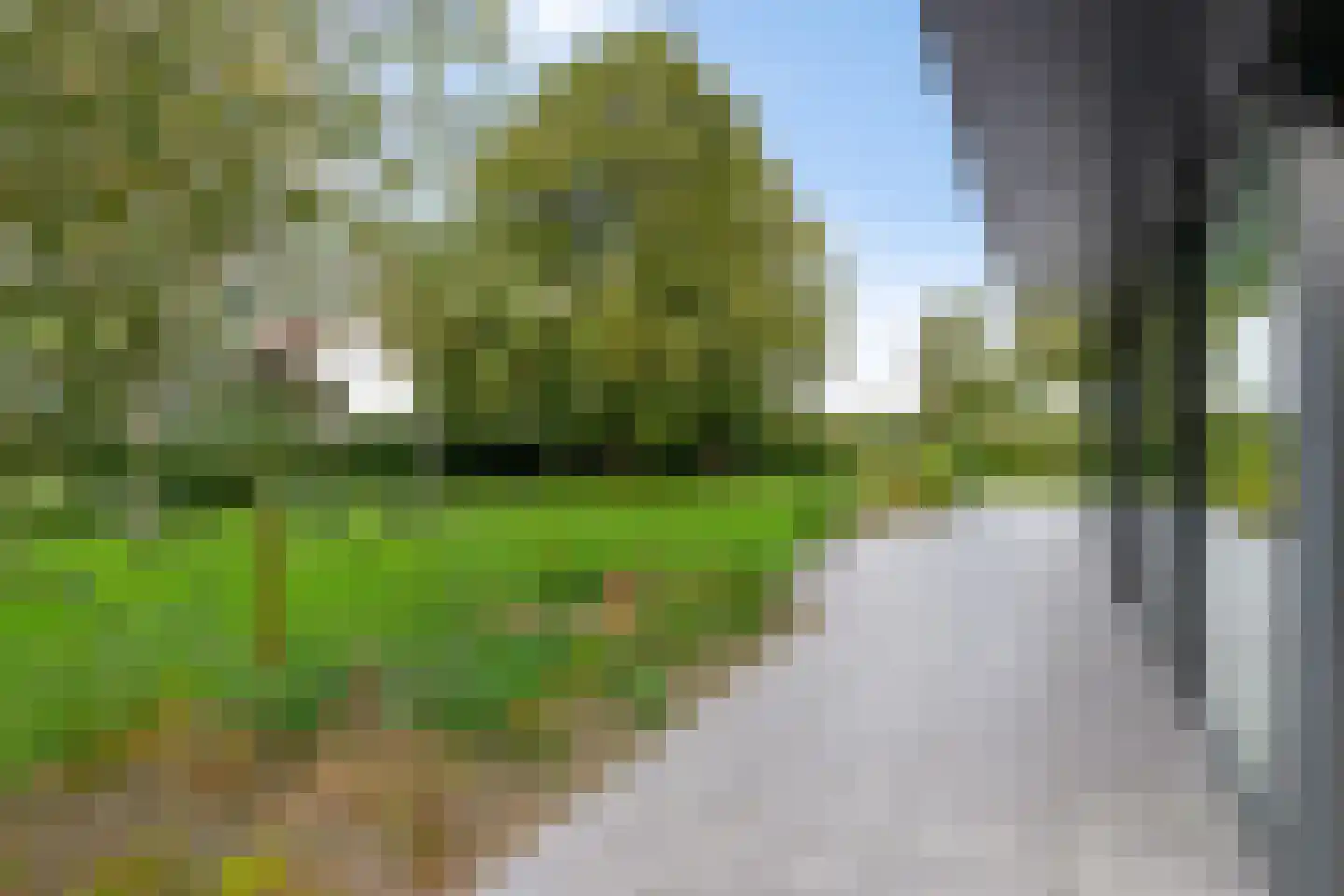 Noordstukkendrift 2 Bunne thumbnail 82