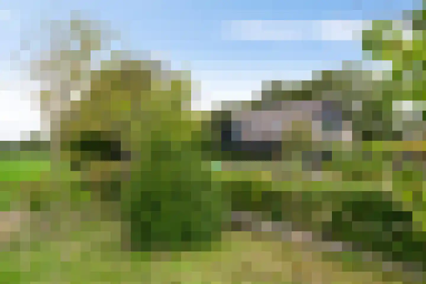 Noordstukkendrift 2 Bunne thumbnail 83