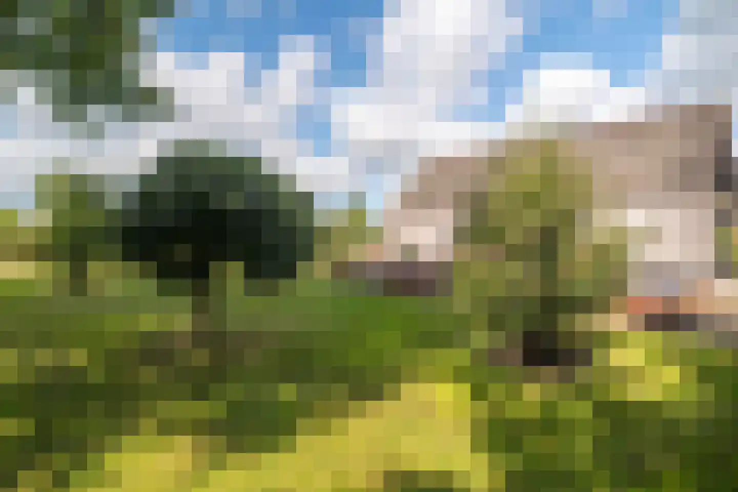 Noordstukkendrift 2 Bunne thumbnail 87