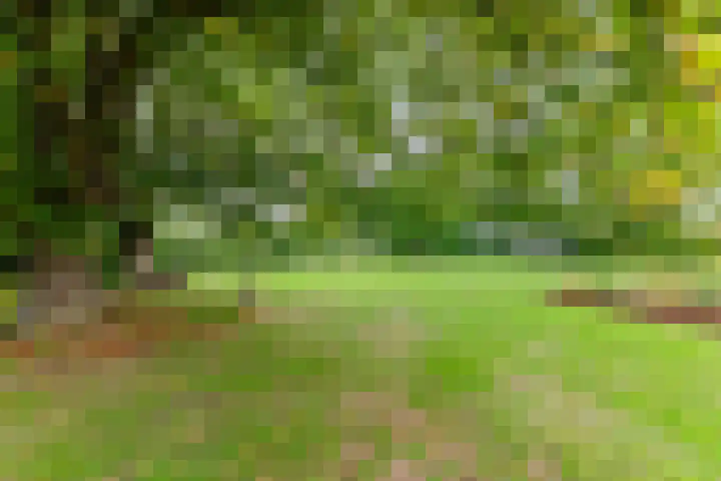 Noordstukkendrift 2 Bunne thumbnail 87