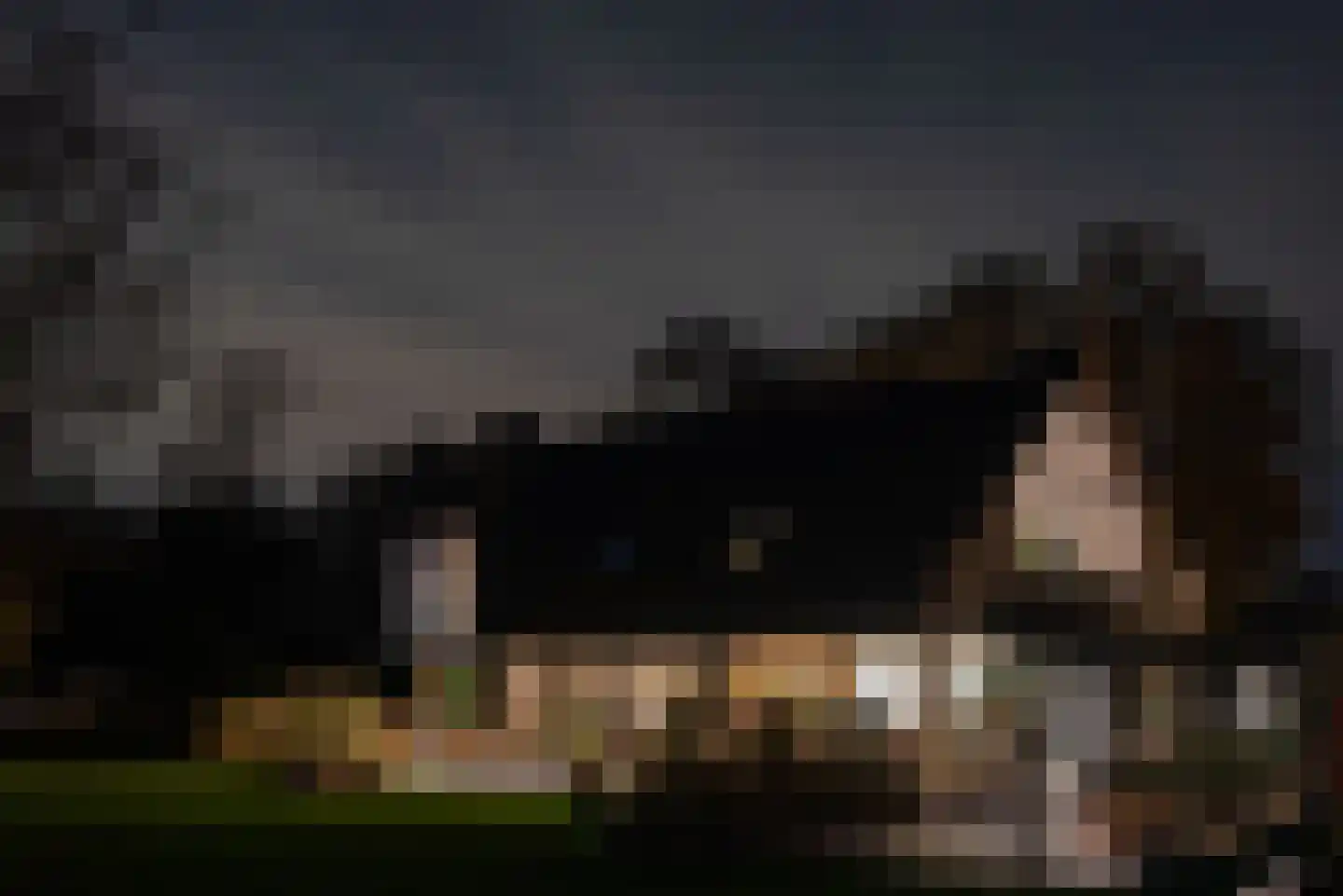 Noordstukkendrift 2 Bunne thumbnail 95