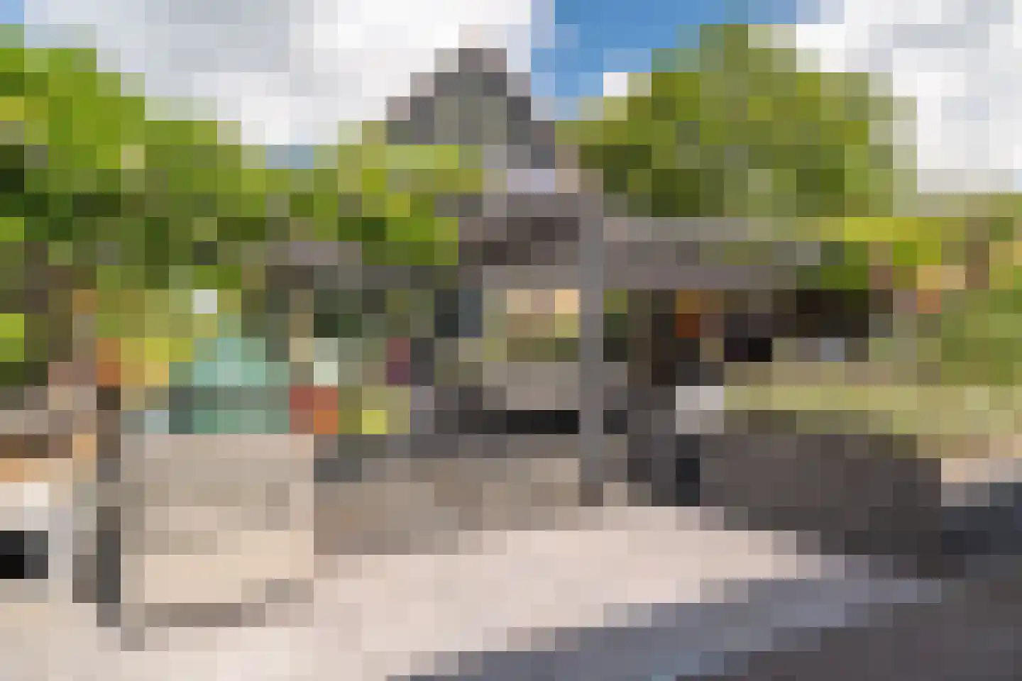 Noordstukkendrift 2 Bunne thumbnail 97