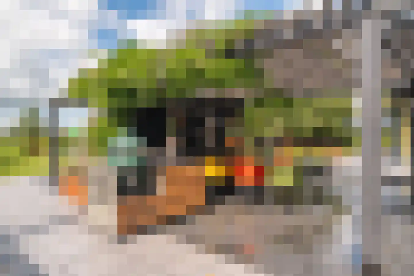 Noordstukkendrift 2 Bunne thumbnail 98