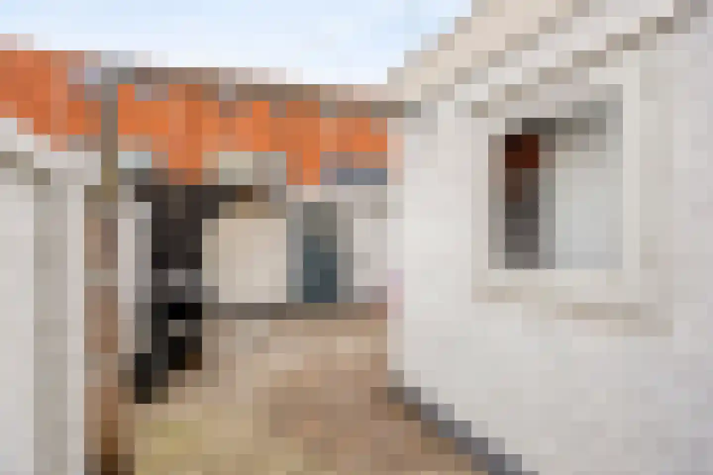 Noordtzijstraat 15 Kampen thumbnail 31