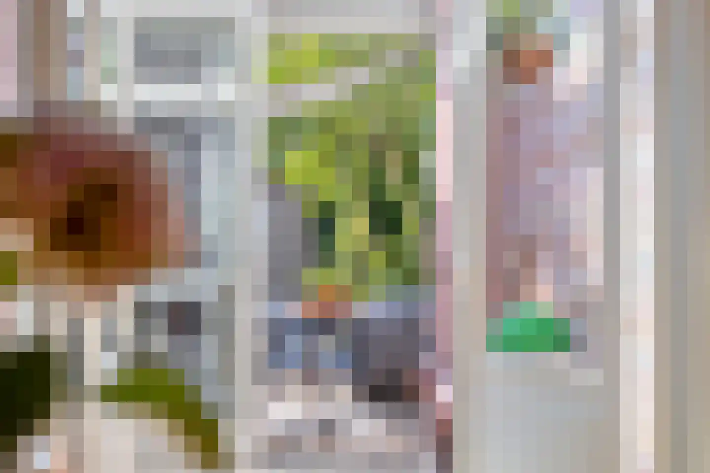 Noordtzijstraat 16 Kampen thumbnail 16