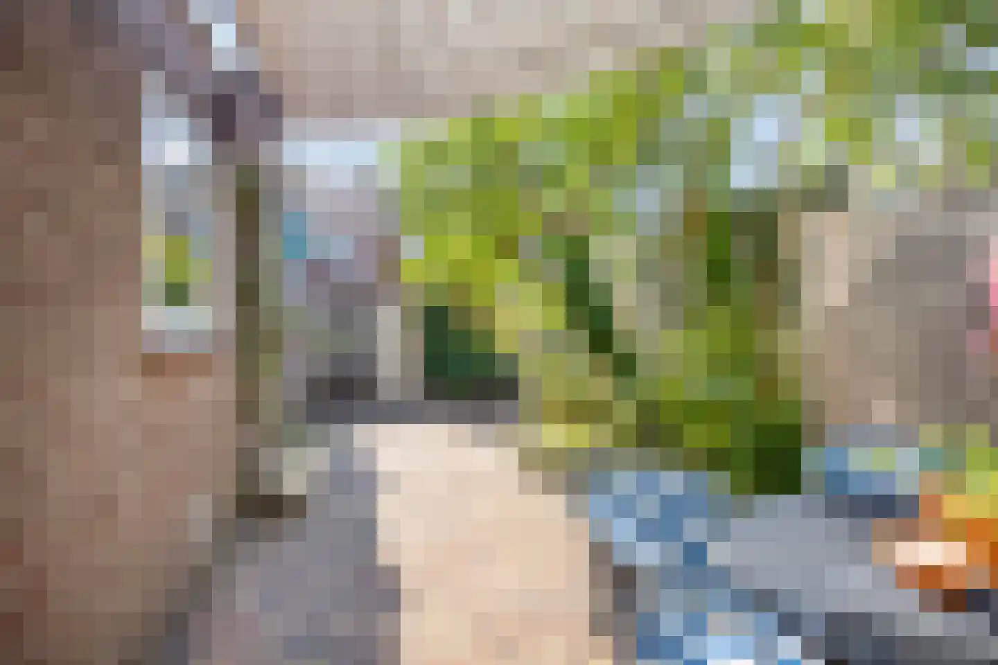 Noordtzijstraat 16 Kampen thumbnail 33