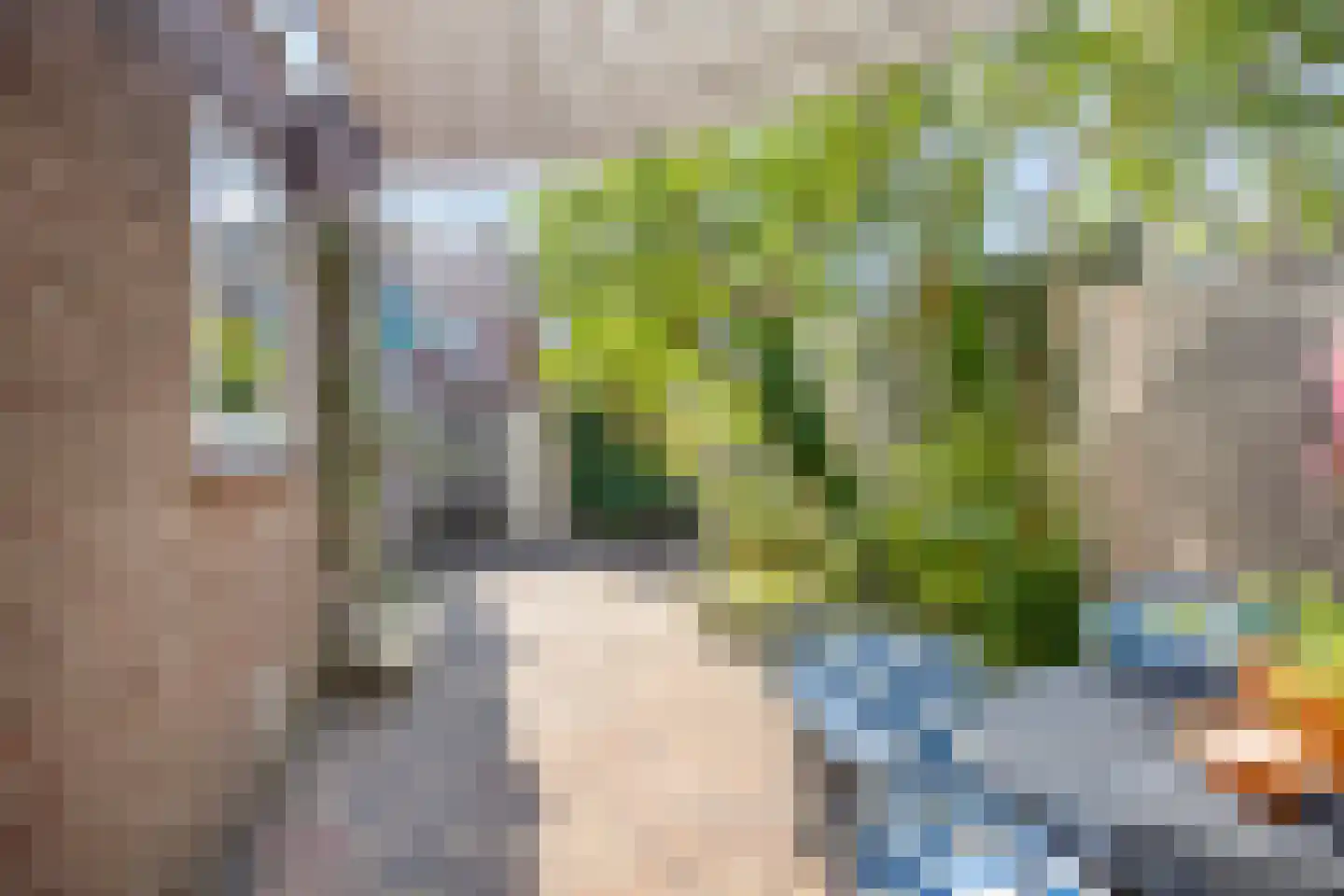 Noordtzijstraat 16 Kampen thumbnail 5