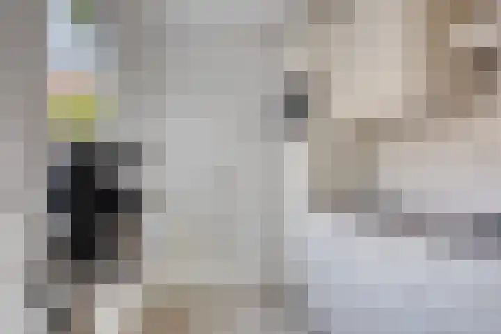 Noordtzijstraat 4 Kampen thumbnail 10