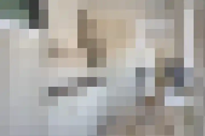 Noordtzijstraat 4 Kampen thumbnail 11
