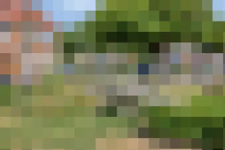 Noordtzijstraat 4 Kampen thumbnail 36