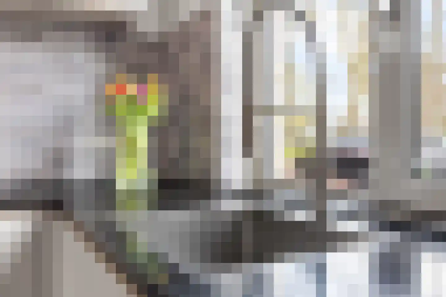 Noorduyn 15 Soesterberg thumbnail 17
