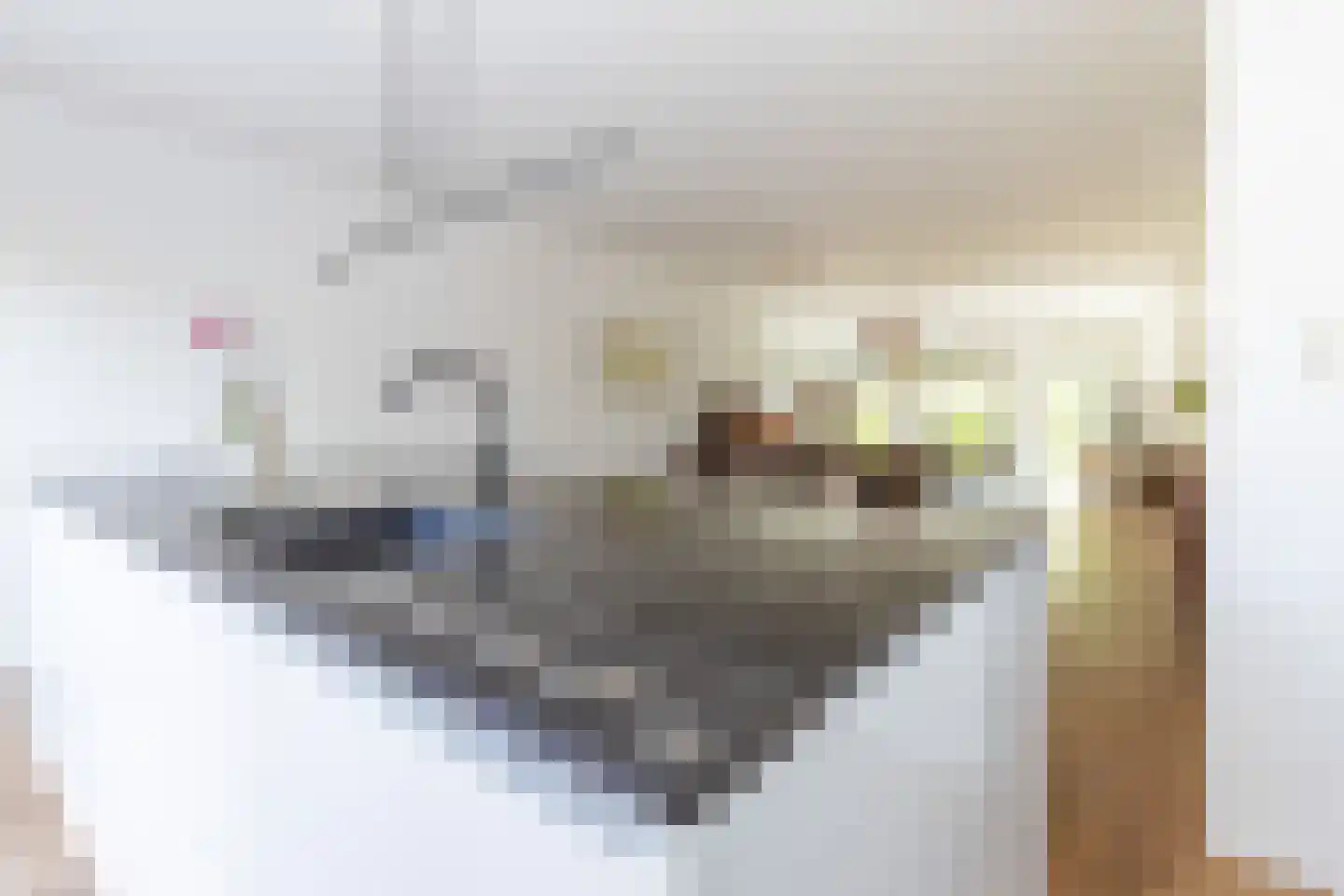 Noordvaarder 23 Hoofddorp thumbnail 16