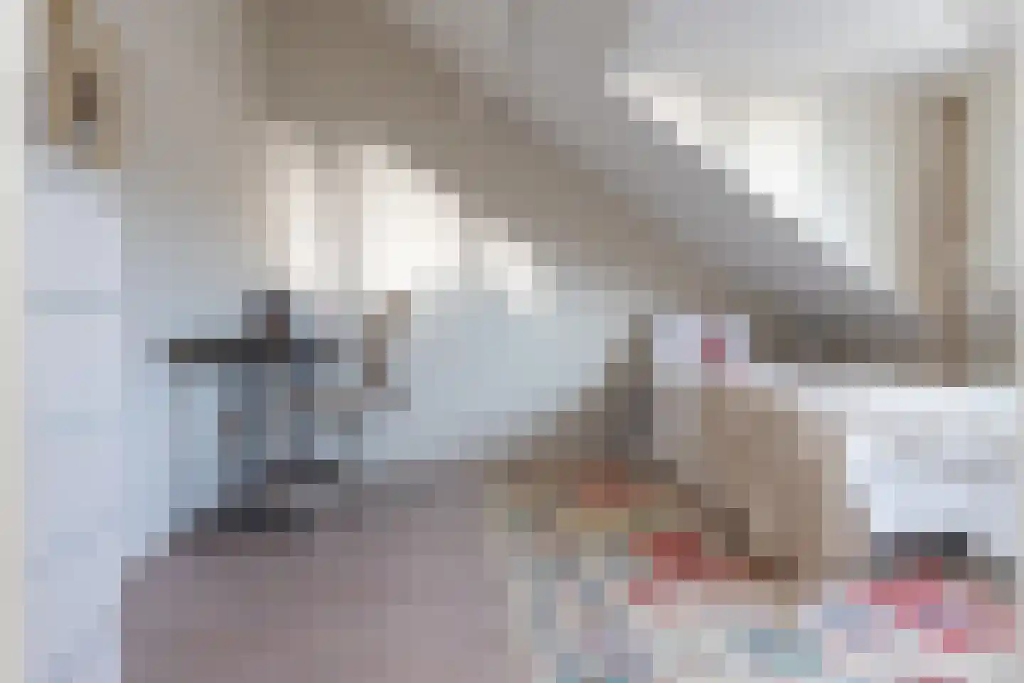 Noordvaarder 23 Hoofddorp thumbnail 24