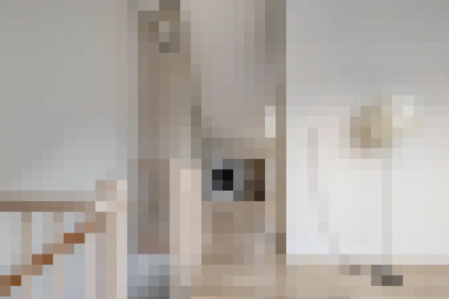 Noordvaarder 42 Hoofddorp thumbnail 28